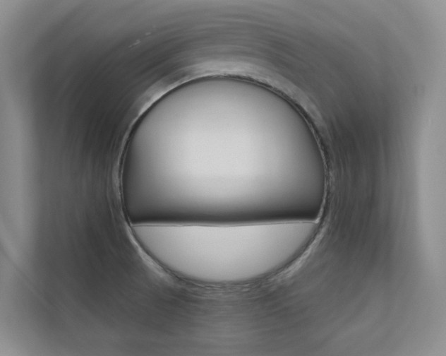 X0000110701521200906121025