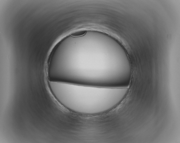X0000110701522200906121025