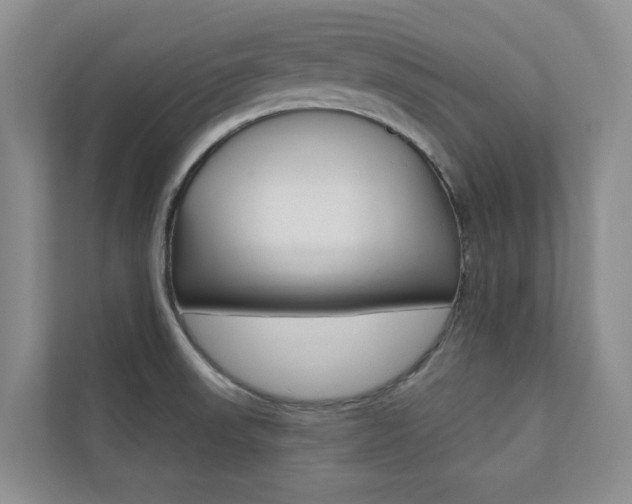 X0000110701523200906121026