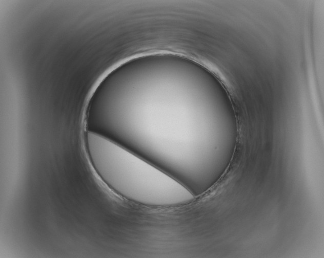 X0000110701524200906121026