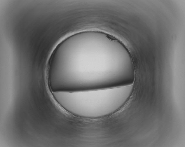 X0000110701526200906121026
