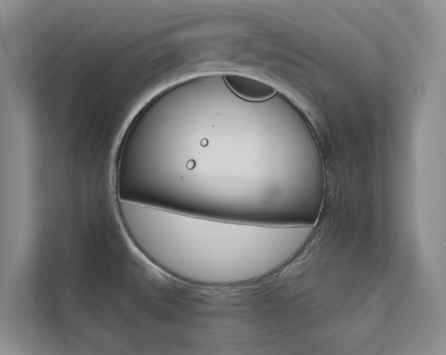 X0000110701527200906121026
