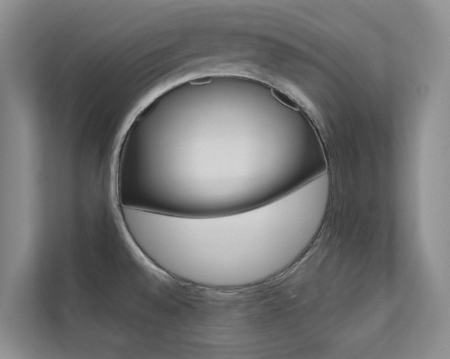 X0000110701528200906121026