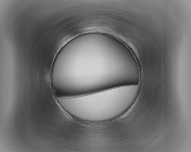 X0000110701529200906121026