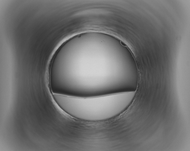 X0000110701531200906121026