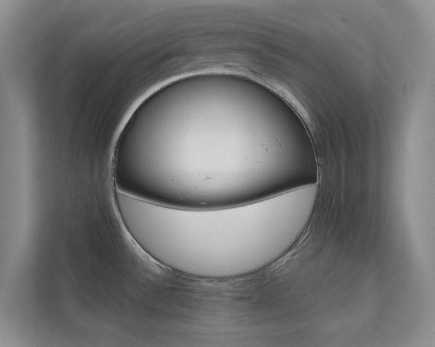 X0000110701532200906121026