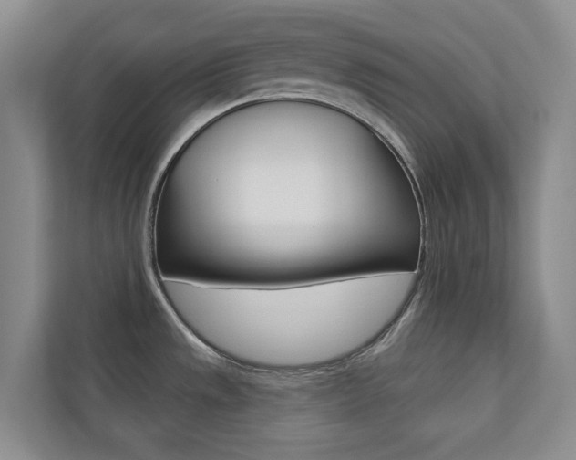 X0000110701533200906121026