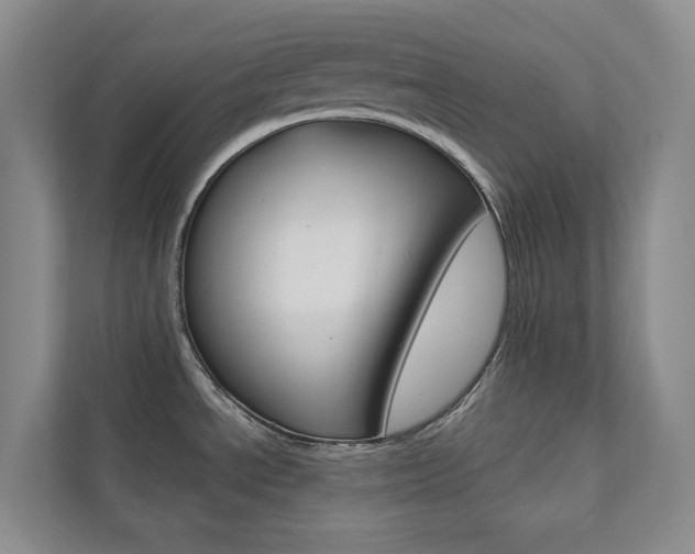 X0000110701534200906121026