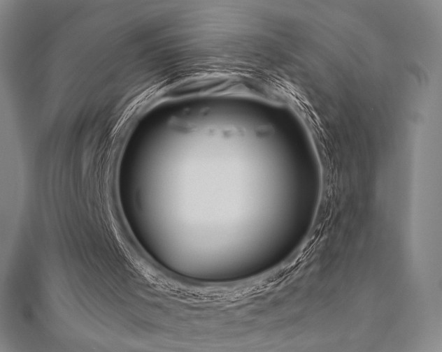 X0000110700001200906121343