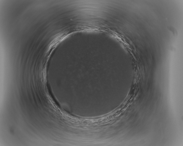 X0000110700002200906121343