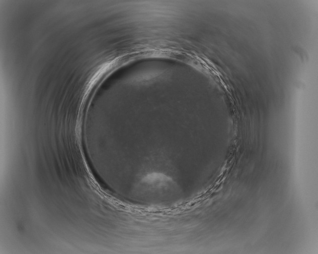 X0000110700003200906121343