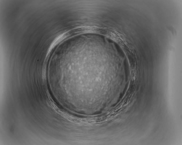 X0000110700004200906121343