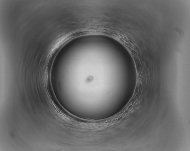 X0000110700005200906121343
