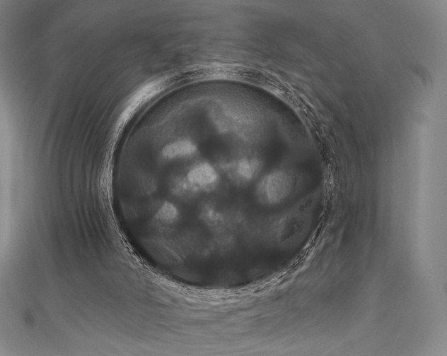 X0000110700006200906121343