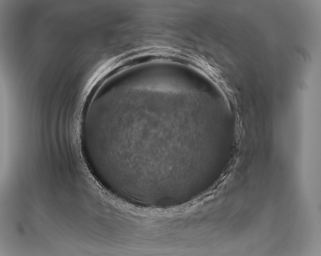 X0000110700007200906121343