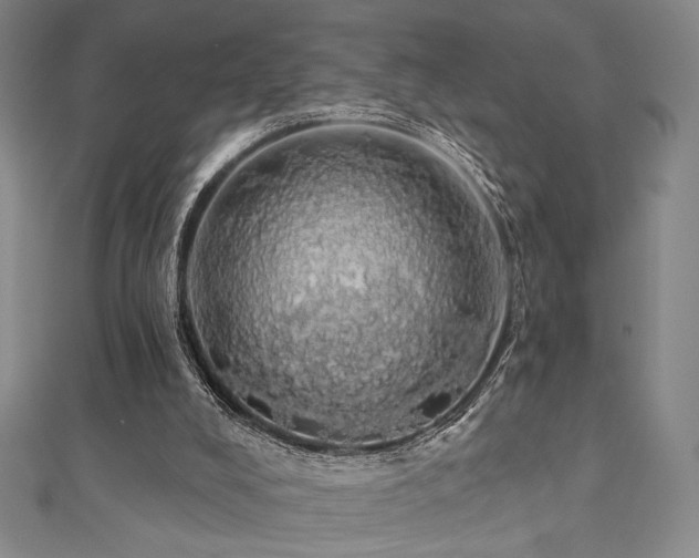 X0000110700008200906121343