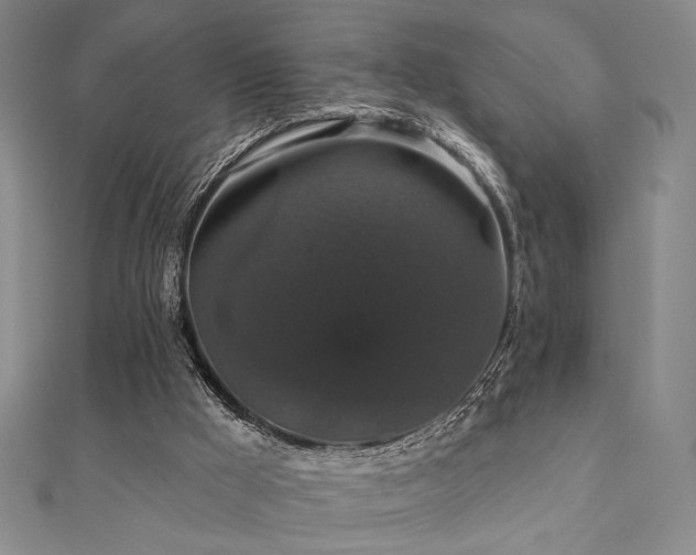 X0000110700009200906121343