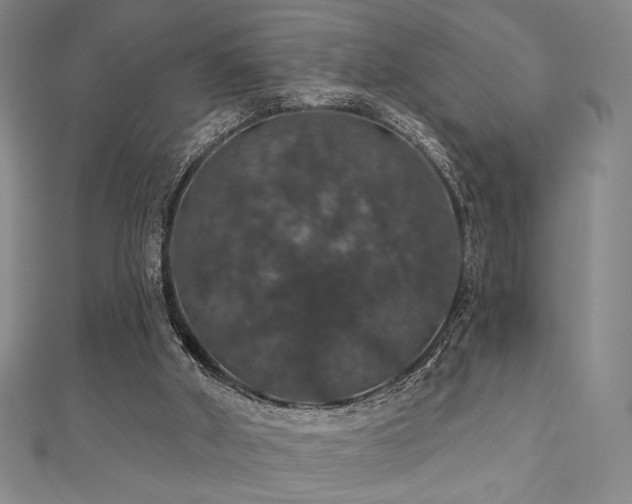 X0000110700010200906121343