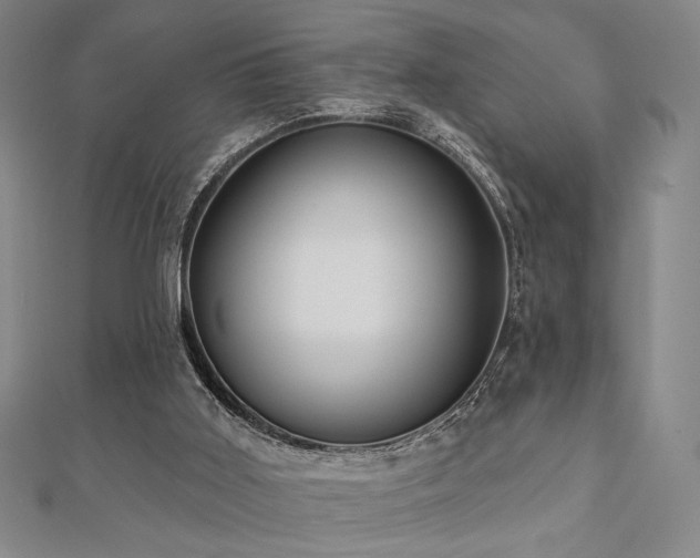X0000110700011200906121343
