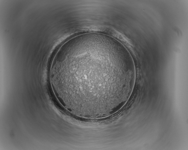 X0000110700012200906121343