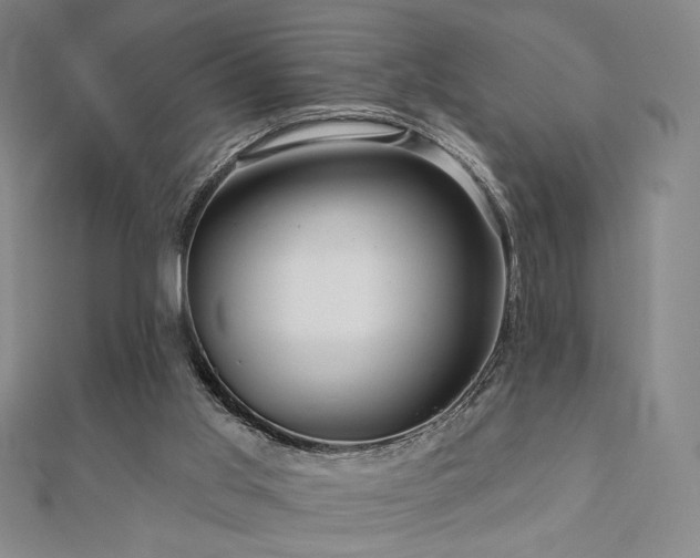 X0000110700013200906121343