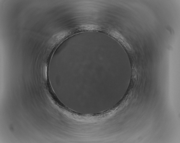 X0000110700014200906121343