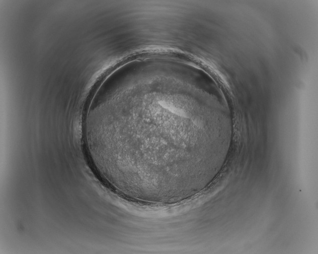X0000110700015200906121343