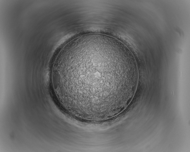 X0000110700016200906121343