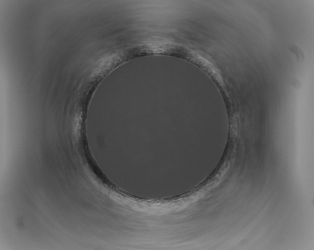 X0000110700018200906121343