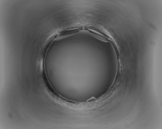 X0000110700019200906121343