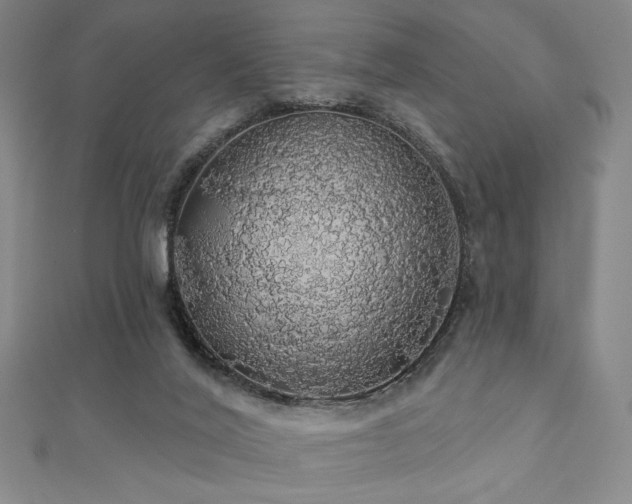 X0000110700020200906121343