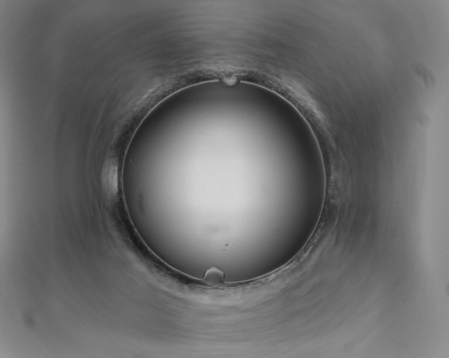 X0000110700021200906121343
