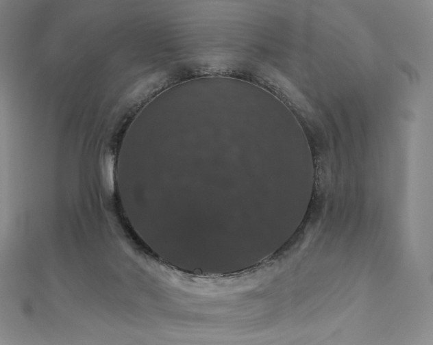 X0000110700022200906121343