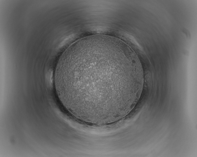 X0000110700024200906121343