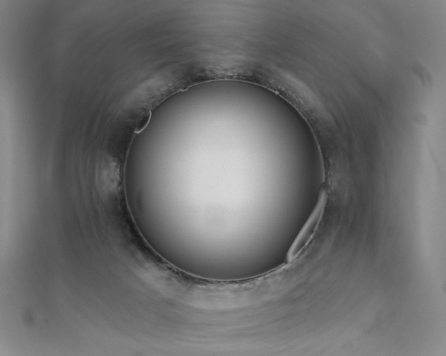 X0000110700025200906121343