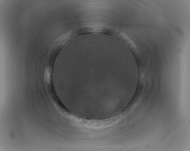 X0000110700026200906121343