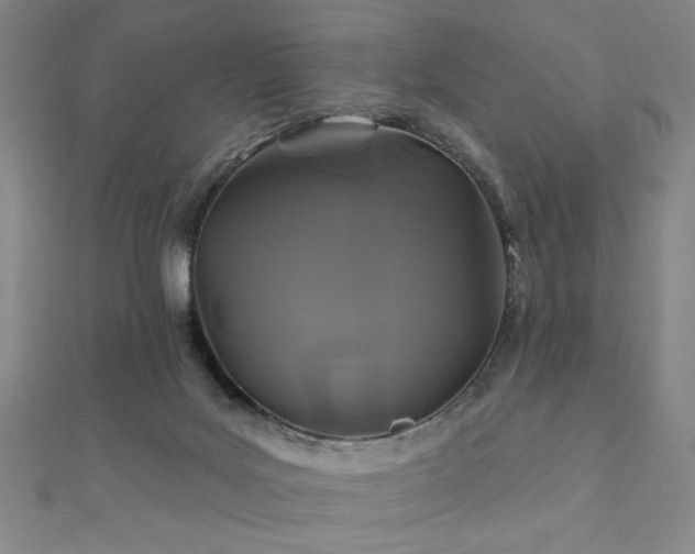 X0000110700027200906121343
