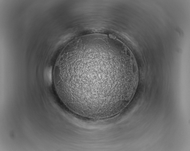 X0000110700028200906121343