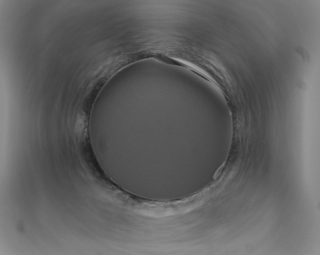 X0000110700029200906121343