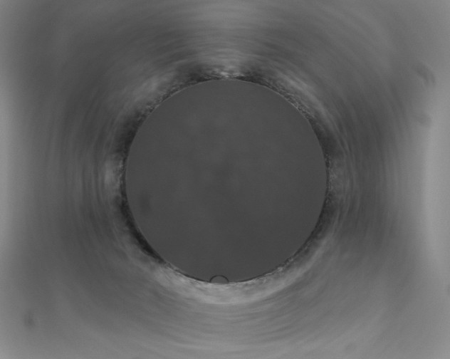 X0000110700030200906121343