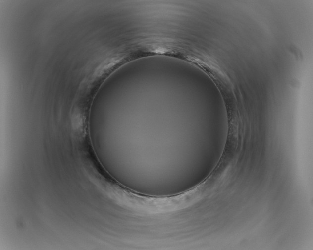 X0000110700031200906121343