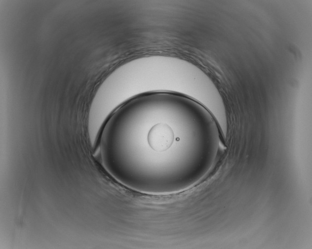 X0000110700033200906121343