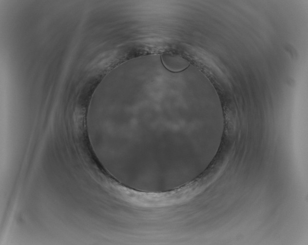 X0000110700034200906121343