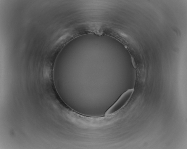 X0000110700035200906121343