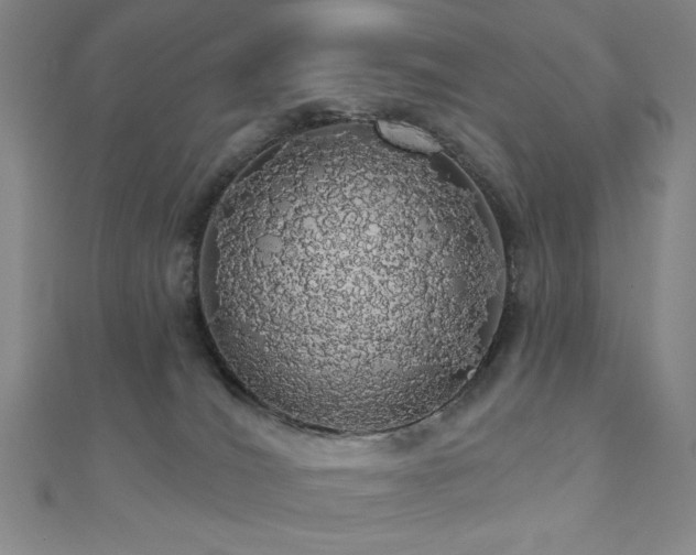 X0000110700036200906121343