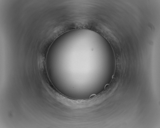X0000110700038200906121343