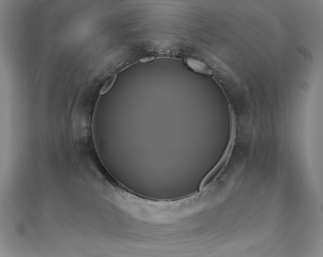 X0000110700039200906121343