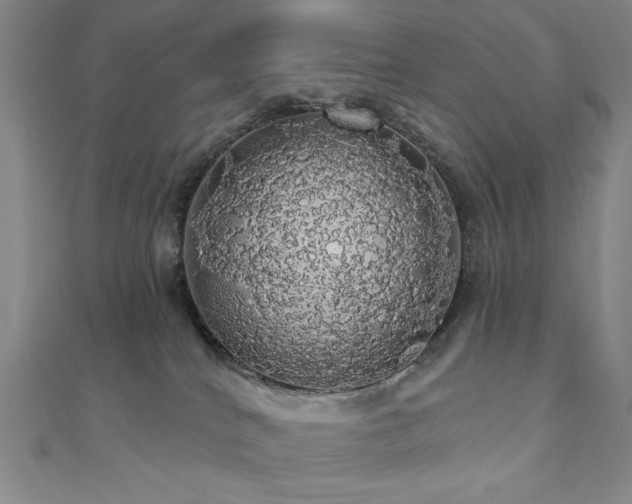 X0000110700040200906121343