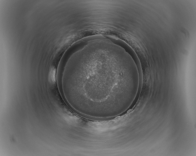 X0000110700041200906121343