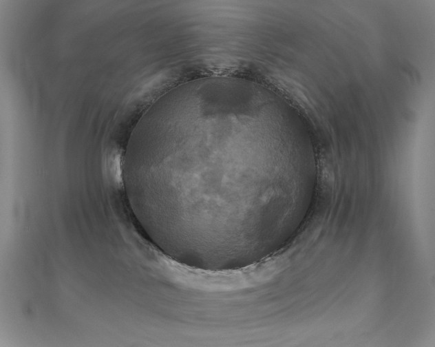 X0000110700042200906121343